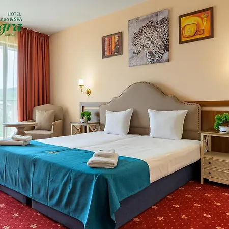 Allegra Balneo & Spa 4 Stars *