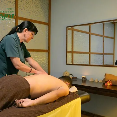 Allegra Balneo & Spa 4 Stars Hotel *